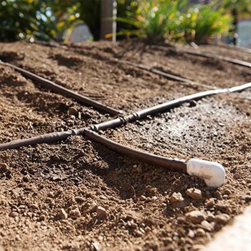 學(xué)校樓臺(tái)、屋頂花園，立體花墻滴灌工程全自動(dòng)灌溉系統(tǒng)
